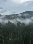 Mengla Naka Rainforest Homestay - เปิดใหม่