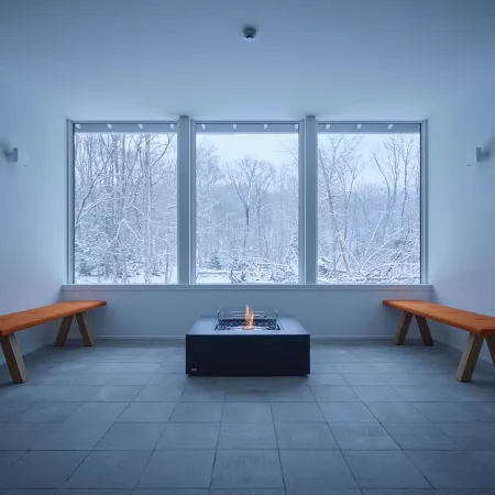 THE ELEMENTAL