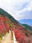 Yunhua Hotel (Shennv Grand Escalator) - Mountain view