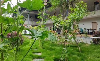 Daxu Yinyu Yayuan Homestay (Anren Ancient Town Branch)