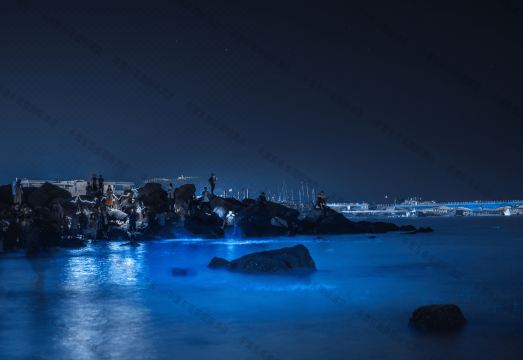 숙소 주변 전경