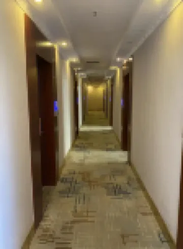 Left Bank Hotel