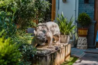 Taimei -B&B