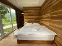 Shine River - Balkon