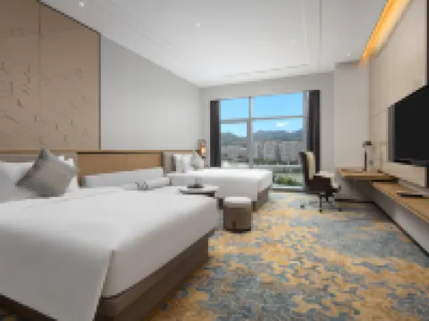 IANDISON CULTURE TOURISM HOTEL LONGOUAN Hotels in Longquan