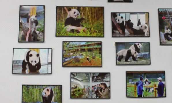 ECHIC Hotel (Dongshankou Subway Station Store, First Affiliated Hospital of Sun Yat sen University)