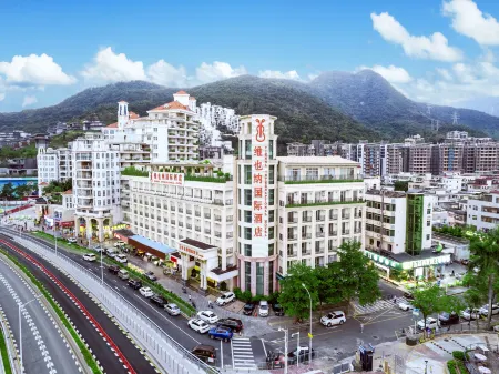 Vienna International Hotel (Shenzhen Dameisha Metro Station Store)