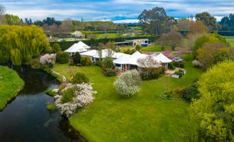 Silverstream Alpaca Farmstay & Tour