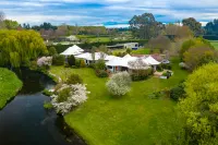 Silverstream Alpaca Farmstay & Tour Hotels in Rangiora