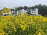 Homesick countryside (Wuyuan County high-speed railway station store) - 2-Star