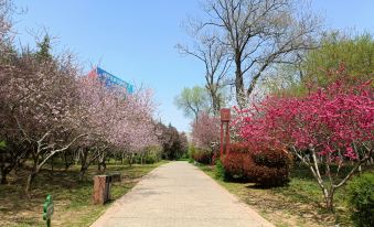 Zhongzhou Yazhi Hotel (Luoyang Airport Tianxiang Peony Garden)