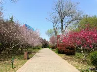 Zhongzhou Elegant Hotel（Luoyang Tianxiang Peony Garden Airport Branch）