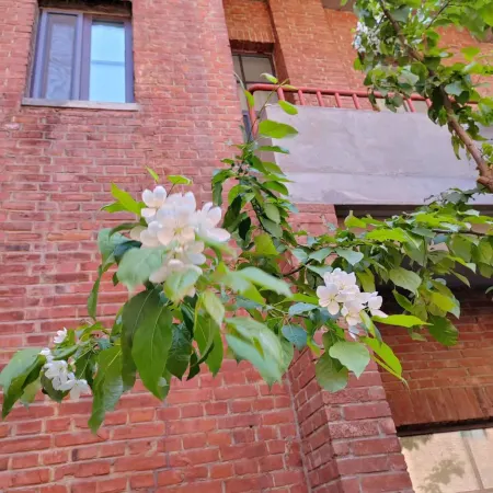 Yake Town Hotel (Victory Park Subway Station Changchun Railway Station)