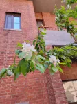 Yake Town Hotel (Victory Park Subway Station Changchun Railway Station) - Romantic