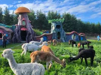Colorful Forest Vacation Hotel Hotels in Fengning