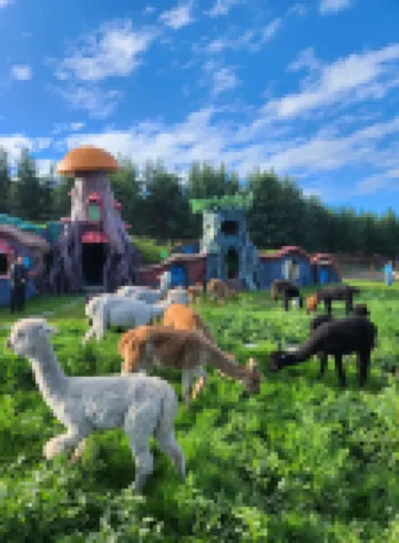 Colorful Forest Vacation Hotel