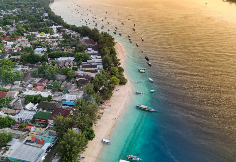 창의적인 트라왕안 숙소