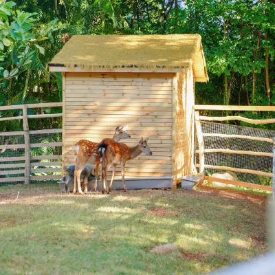 廈門フリポートソフトウェアパークホテル(湖里区) 廈門ソフトウェアパーク周辺のホテル