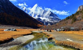 Daocheng Yading Lvying Oxygen-Rich Homestay