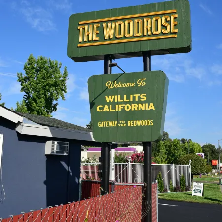 The Woodrose