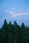 Laiye·12 Beast Designer Private Tang Homestay - رومانسي