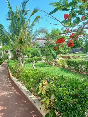 ماجاني بريز Hotels near Nungwi THE (tourist) BEACH