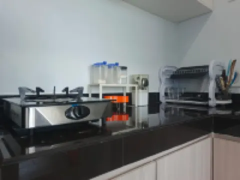 可以翻譯為中文