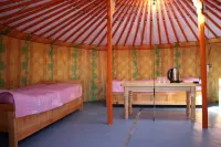 1000 Starlight Steppe Camp Hotels in Khashaat