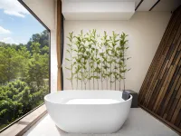 Libo size of the seven holes Brahma line beautiful night