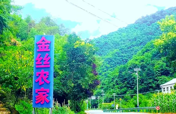 金絲峽金絲農家