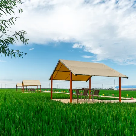 Floral Hotel·Andai Rice Field Residential (Chagan Lake Branch)