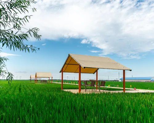 Floral Hotel·Andai Rice Field Residential (Chagan Lake Branch) Hotels in Qianguo