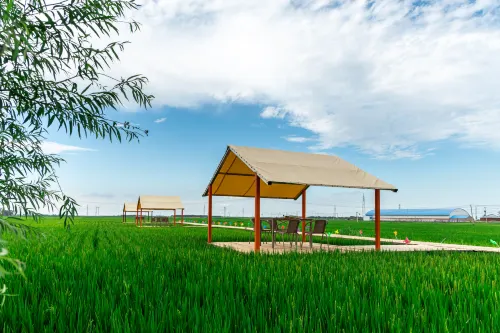 Floral Hotel·Andai Rice Field Residential (Chagan Lake Branch)