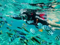 Lingshui Banxia SEAVIEW RESORT Scenic Hotel (Clear Water Bay) فنادق في لينغ شوي