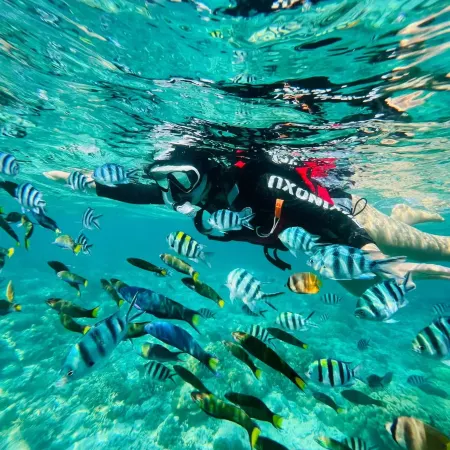 Lingshui Banxia SEAVIEW RESORT Scenic Hotel (Clear Water Bay)