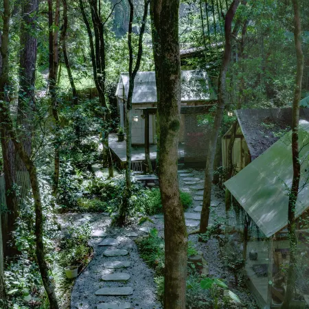 JDZ Forest Haven B&B