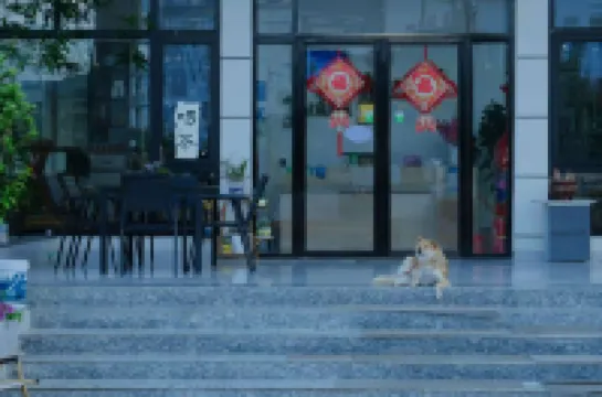 Zhonggu Homestay (Wenquan Cultural Park)