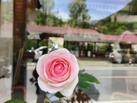 Yingpan Pastoral Serenade Farm Stay Hotels in Zhashui