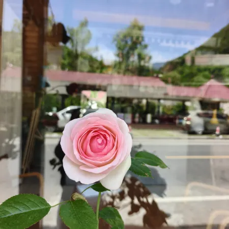 Yingpan Pastoral Serenade Farm Stay