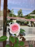 Yingpan Pastoral Serenade Farm Stay
