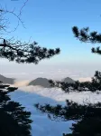 Wilderness Retreat · Hillview · Boutique & Minimalist Luxury Designer Guesthouse - Mountain view