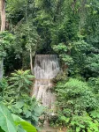 Green Jungle Park - bar
