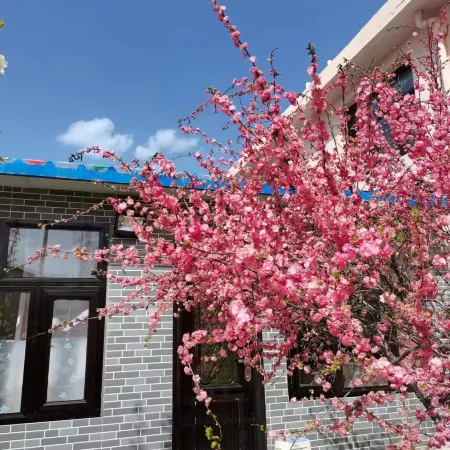 Jingyuan Jinghe Folk Farm Stay