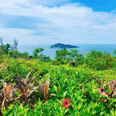 Longze Homestay (Yangxi Shapa Fuli Bay)