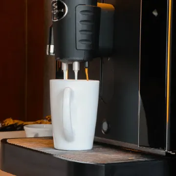 Beatenberg Resort & Spa in Beatenberg Interlaken