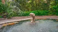 Xinfeng Jiangyuan Hot Spring Resort - Hot Tub
