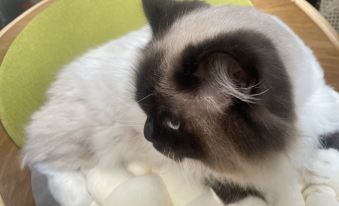 Seaview Forest Life·Aerobic (Shengsi Nanchangtu Beach Branch)