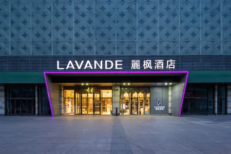 Lavande Hotels (Shijiazhuang Zhonghua North Street Zhongchu Square) Отели рядом с достопримечательностью «Hebei Institute of Physical Education»