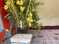 Cloud Homestay