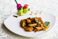 Palau Vacation Hotel